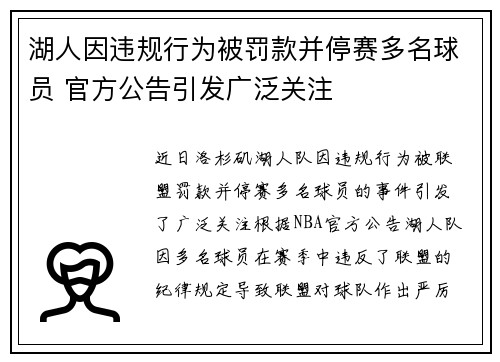 湖人因违规行为被罚款并停赛多名球员 官方公告引发广泛关注